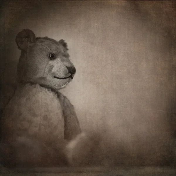 Urso velho — Fotografia de Stock