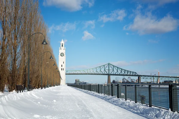 Монреальская часовой башня зимой — стоковое фото