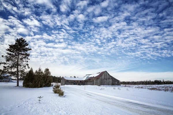 Viejo granero, Beauce —  Fotos de Stock