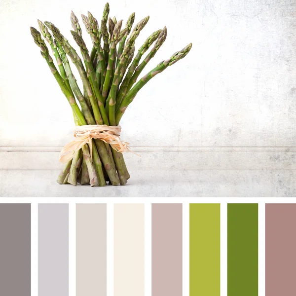 Tied asparagus palette — Stock Photo, Image