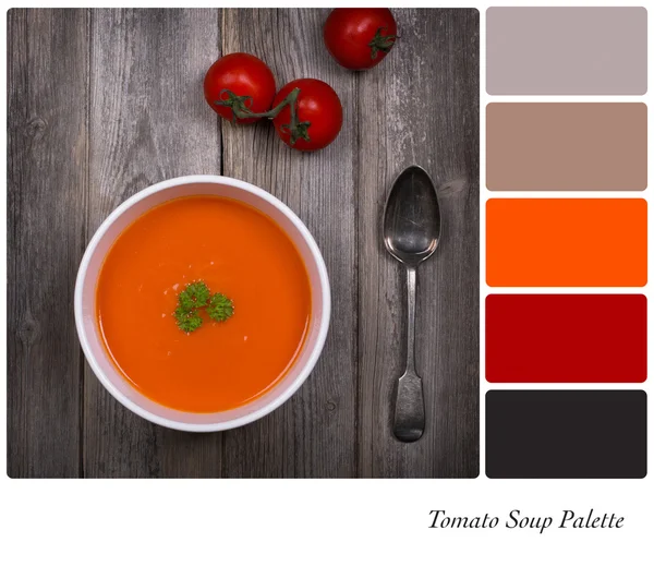 Paleta de sopa de tomate — Foto de Stock