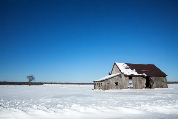 Ancienne grange en bois dans la province de Québec — Photo