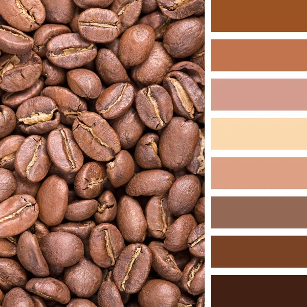 New England roast coffee beans — Stock Photo, Image