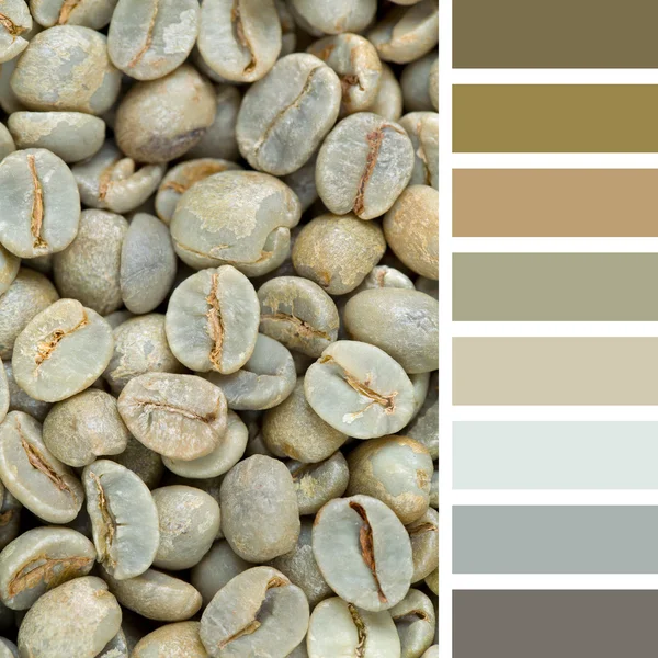 Paleta de granos de café crudo —  Fotos de Stock