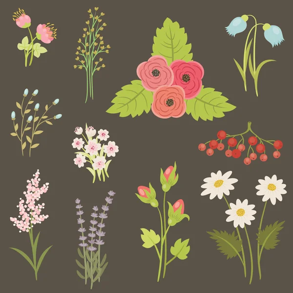 Ζωγραφική λουλούδια και μούρα. — Διανυσματικό Αρχείο