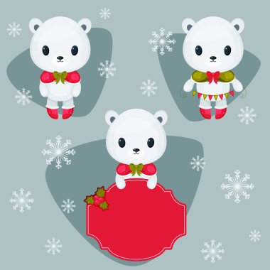 Üç farklı kutup ayıları