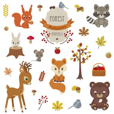 Woodland animals in autumn time. clipart
