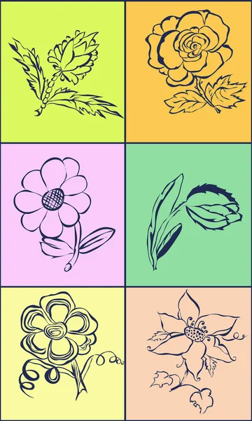 Adorno floral con flores de belleza — Vector de stock