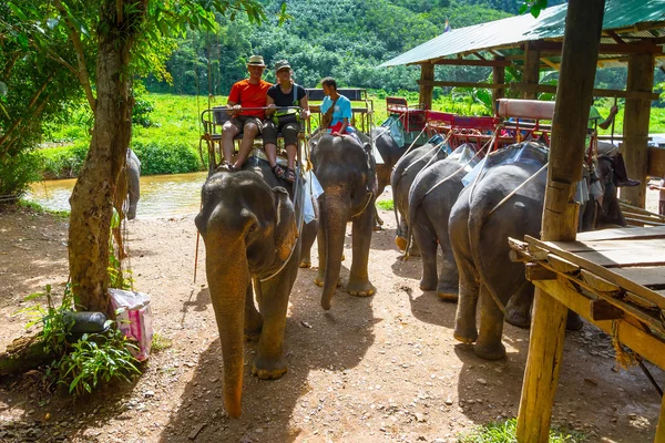 Trekking de elefantes en el Parque Nacional Khao Sok — Foto de Stock