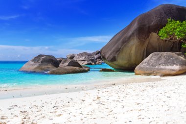 similan Adaları tropikal manzara
