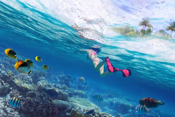 Belle donne che fanno snorkeling nel mare tropicale — Foto Stock