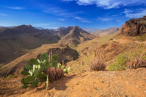 Gran Canaria ada dağ manzarası — Stok fotoğraf