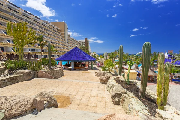 Sun holidays at the pool of Gran Canaria — Stock Photo, Image