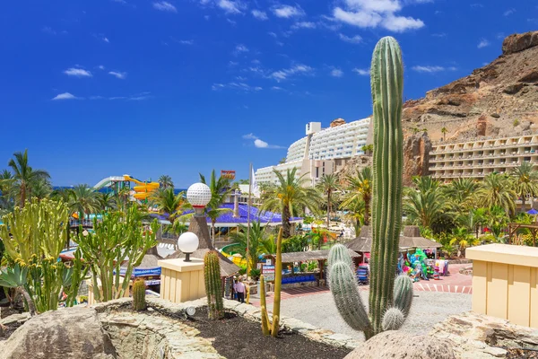 Vacaciones de sol en la piscina de Gran Canaria — Foto de Stock