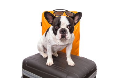 Fransız buldozer seyahat için hazırdır