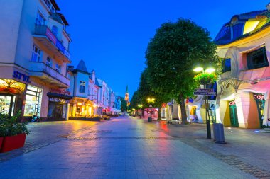  Gece Sopot şehrinde iskeleye (Molo) gezinti, Polonya