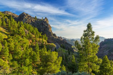 gran canaria ada Dağları