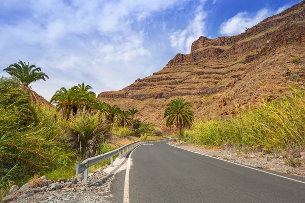 Strada attraverso le montagne dell'isola di Gran Canaria — Foto Stock