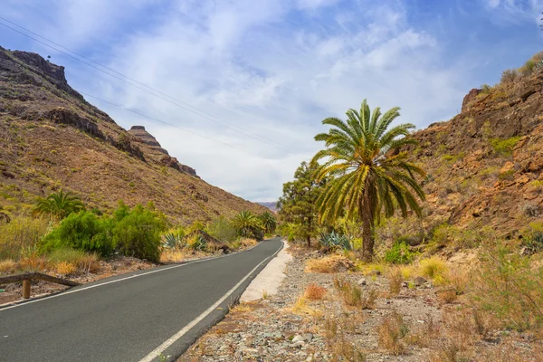 Gran Canaria ada Dağları aşarak yol — Stok fotoğraf