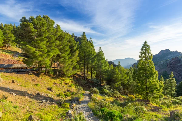 Montagne dell "isola di Gran Canaria — Foto Stock