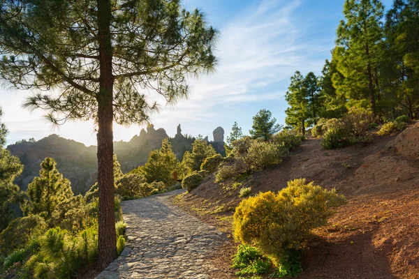 Montanhas da ilha de Gran Canaria — Fotografia de Stock