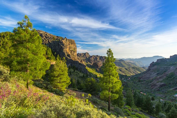 Montagne dell "isola di Gran Canaria — Foto Stock