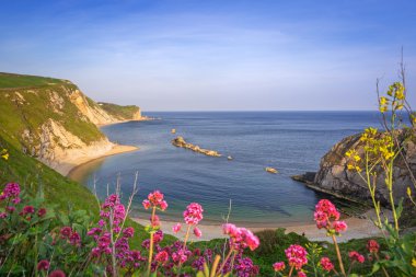 Dorset Jurassic Coast güzel kumsalda