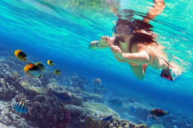Snorkeling in the tropical sea clipart