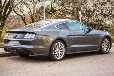 Ford Mustang yukarı şehrin Gdynia sokak Park