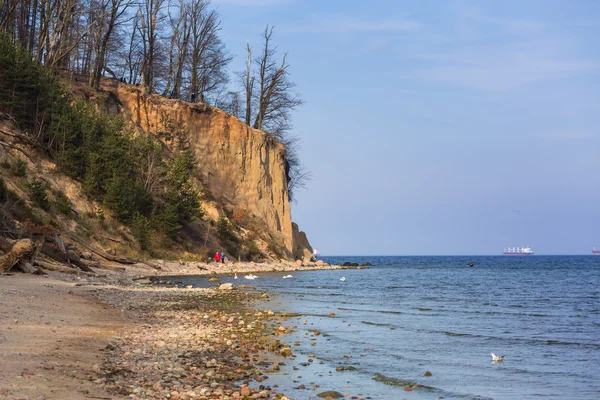 Cliff of Orlowo at Baltic sea — Stock Photo, Image