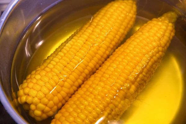 Two Fresh Corn Cobs Boil Pot — Stock Photo, Image