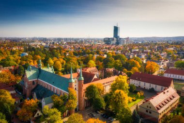 Gdansk Oliwa Bazilikası sonbahar manzarasında. Polonya