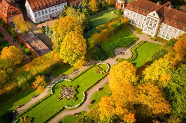 Gdansk Oliwa 'daki sonbahar parkının güzel manzarası. Polonya