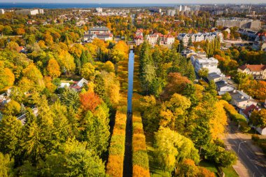 Gdansk Oliwa 'daki sonbahar parkının güzel manzarası. Polonya