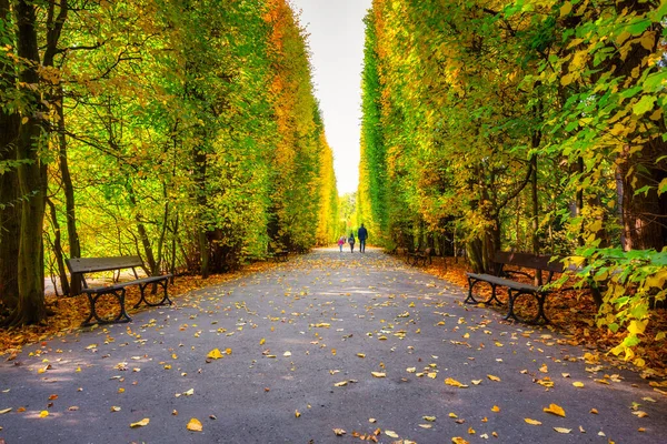 Lindo Beco Parque Oliwa Outono Gdansk — Fotografia de Stock