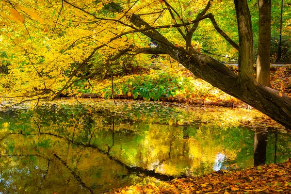Krásná Scenérie Podzimního Parku Gdaňsku Polsko — Stock fotografie