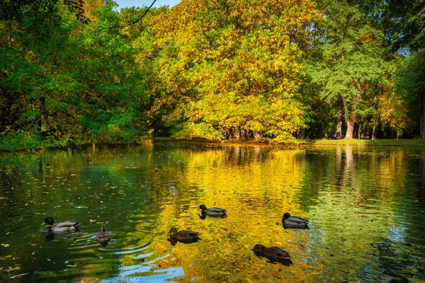 Prachtig Landschap Van Het Herfstpark Gdansk Polen — Stockfoto