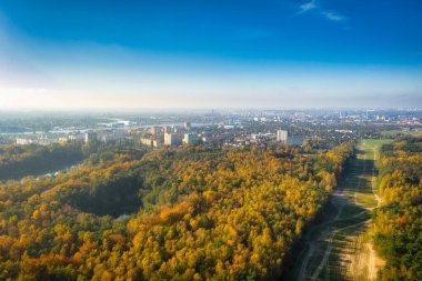 Gdansk 'taki sonbahar ormanının havadan görünüşü. Polonya