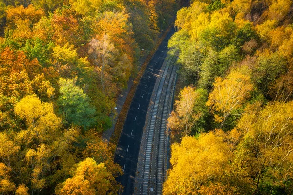 Трамвайная Линия Осеннем Пейзаже Леса Гданьске Польша — стоковое фото