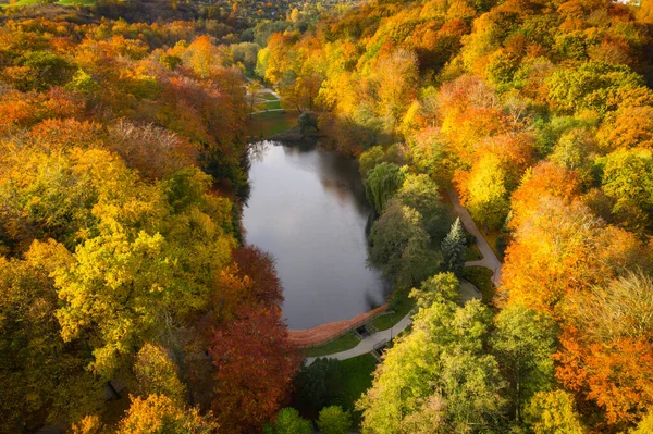 Прекрасна Осінь Парку Гданська Орунія Польща — стокове фото