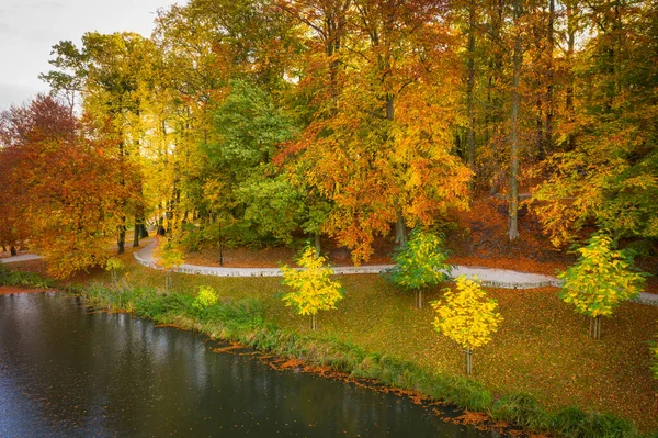 Красивая Осень Парке Гданьск Оруния Польша — стоковое фото