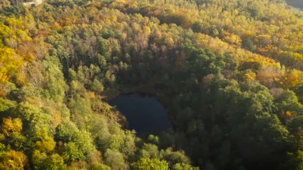 Widok Lotu Ptaka Mały Staw Otoczony Lasem Jesiennym — Wideo stockowe