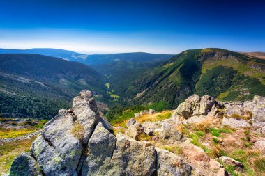 Polonya 'daki Karkonosze Dağları' ndaki Sniezka zirvesine giden dağ yolu.