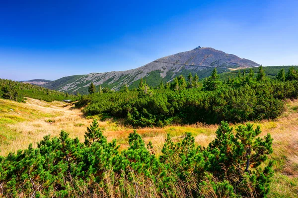 Krásná Krajina Krkonoš Vrchol Sněžky Polsko — Stock fotografie