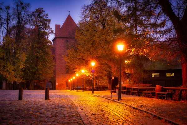 Herbstallee Bei Der Burg Maribork Der Morgendämmerung Polen — Stockfoto