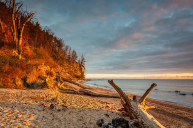 Güneş doğmadan önce Orlowo uçurumundaki sahilin muhteşem manzarası, Gdynia. Polonya