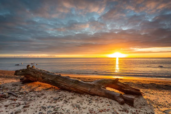 Fantastiskt Landskap Stranden Vid Orlowo Klippan Vid Soluppgången Gdynia Polen — Stockfoto