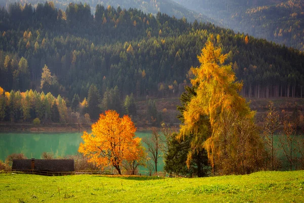 Talya Nın Alp Dağlarındaki Göl Manzarasının Yanındaki Sonbahar Ağaçları — Stok fotoğraf