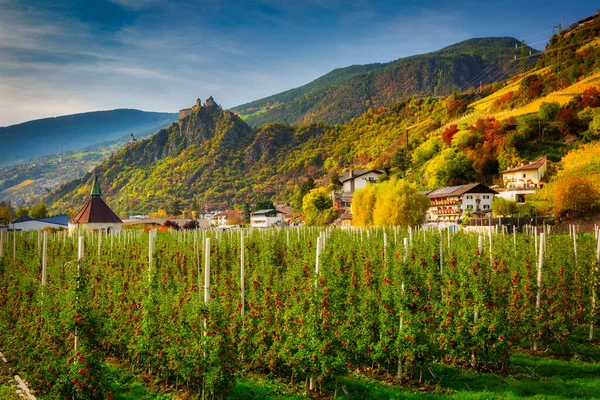 Farm Apple Trees Beautiful Saben Abbey South Tyrol Ιταλία — Φωτογραφία Αρχείου