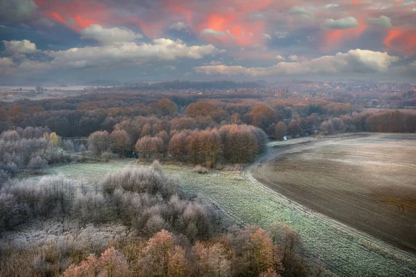 Vacker Soluppgång Över Den Frostiga Skogen Polen — Stockfoto